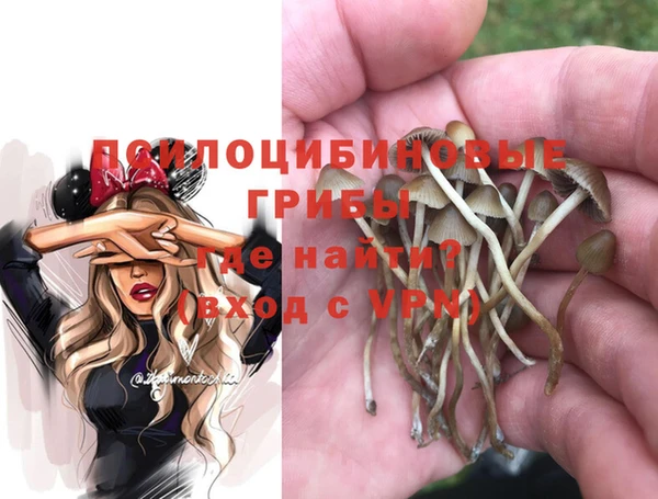 MDMA Заволжск