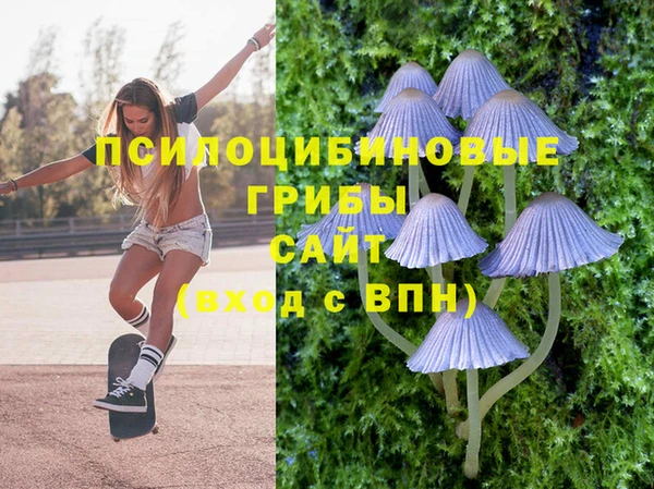 MDMA Заволжск
