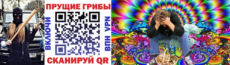 Галлюциногенные грибы MAGIC MUSHROOMS  Купить где  Гусь-Хрустальный 